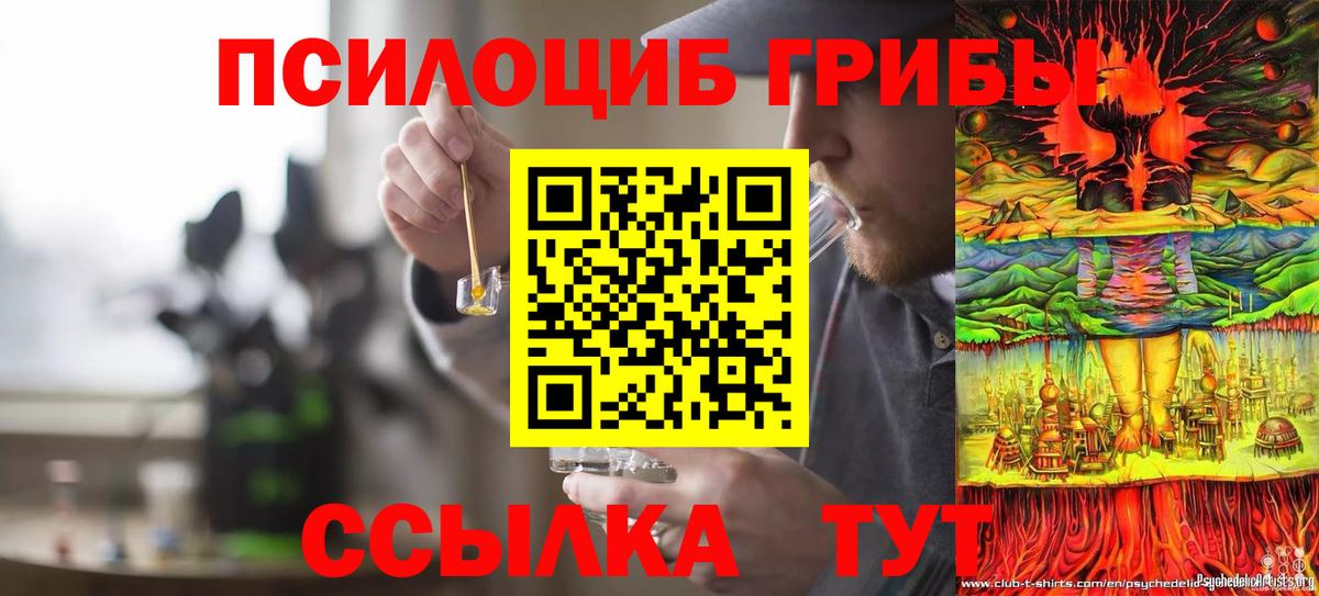 Псилоцибиновые грибы GOLDEN TEACHER  Вход с VPN  Псилоцибиновые грибы мухоморы  Вязьма 