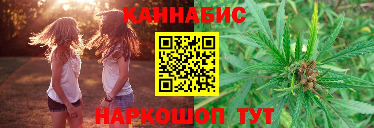 МАРИХУАНА план Вязьма